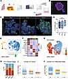 Single-nucleus analysis of flu infection in human AEOs.
