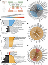 A conserved signature of IAV infection in AEOs.