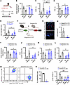 Activation of synovial Mrgprb2 by C48/80 evokes behavioral signs of joint h