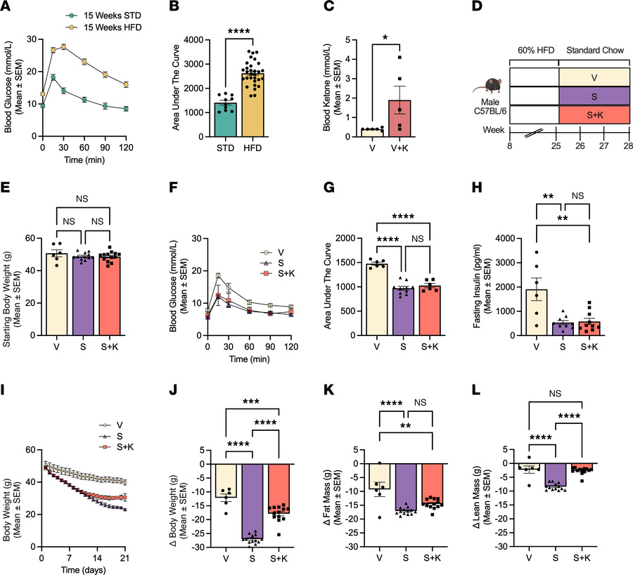 Ketone ester co-administration prevents semaglutide-induced lean mass lo...