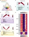 Ketone ester co-therapy prevents semaglutide-induced transcriptomic shifts