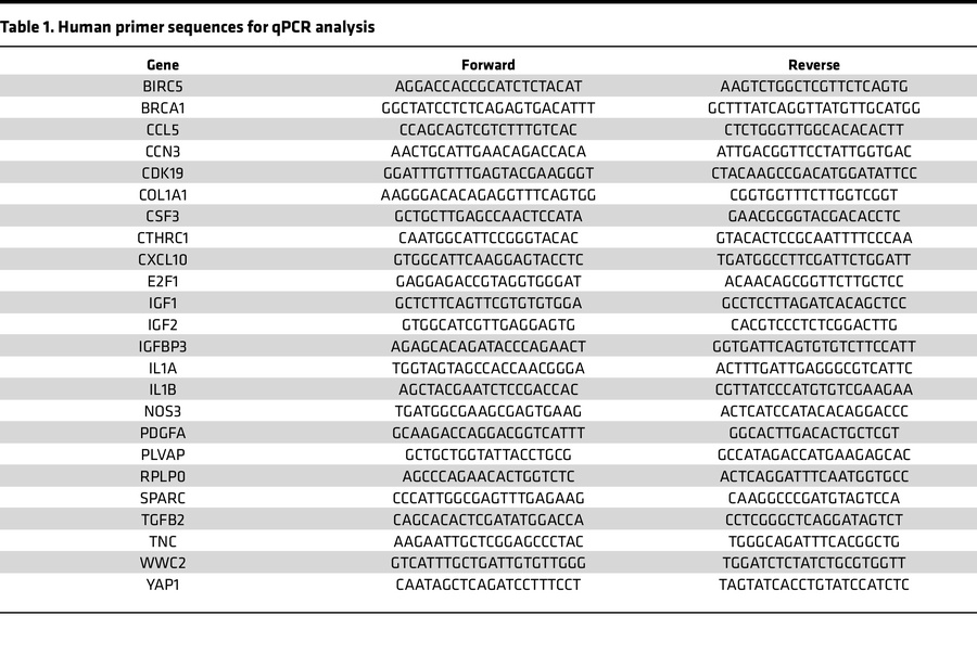 Human primer sequences for qPCR analysis