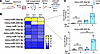 miRNA expression profile of lung ECs from aged mice with persistent lung fi