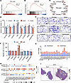 αKG is essential for cutaneous wound repair.
