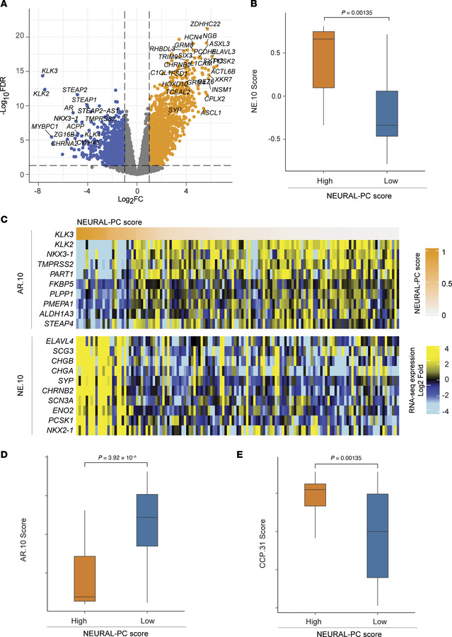 Association with RNA-seq expression in UW-RA WSI cohort.
(A) Differentia...