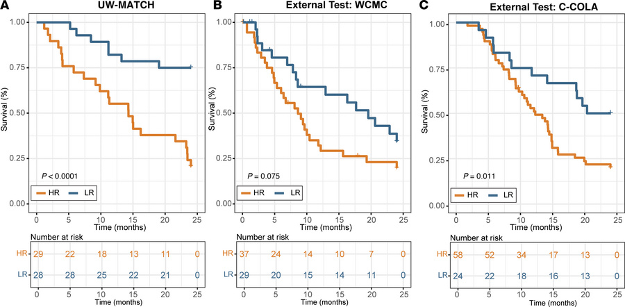 Kaplan-Meier curves for RSF model predicting likelihood of death within ...