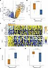 Association with RNA-seq expression in UW-RA WSI cohort.