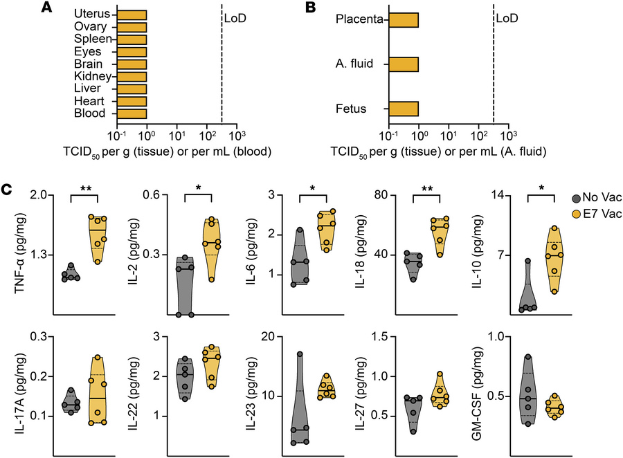 Early-gestational vaccination with VSV-EBOV induces proinflammatory cyto...