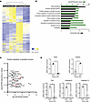 Renal endothelial cells exhibit a unique mRNA expression profile related to