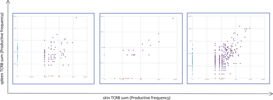 Immunosequencing of the T cell receptor repertoire of skin and matching ...