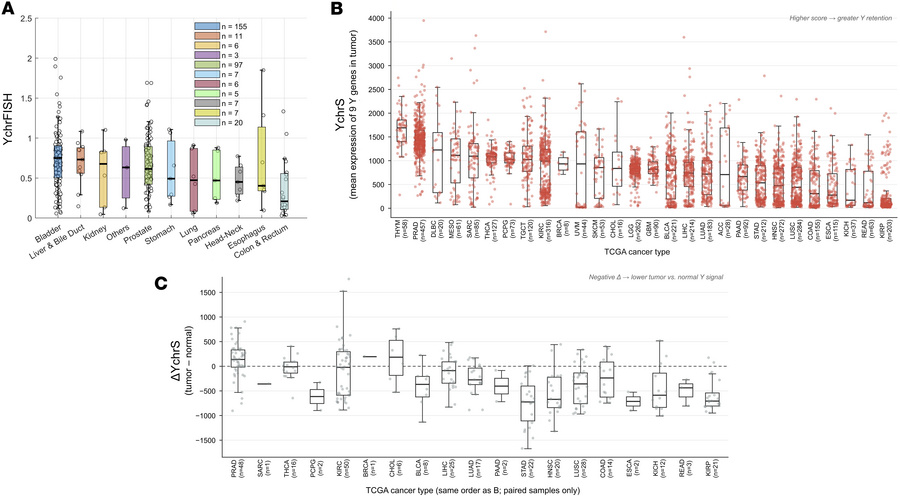 Degree of Y chromosome loss across male-derived cancer and normal tissue...