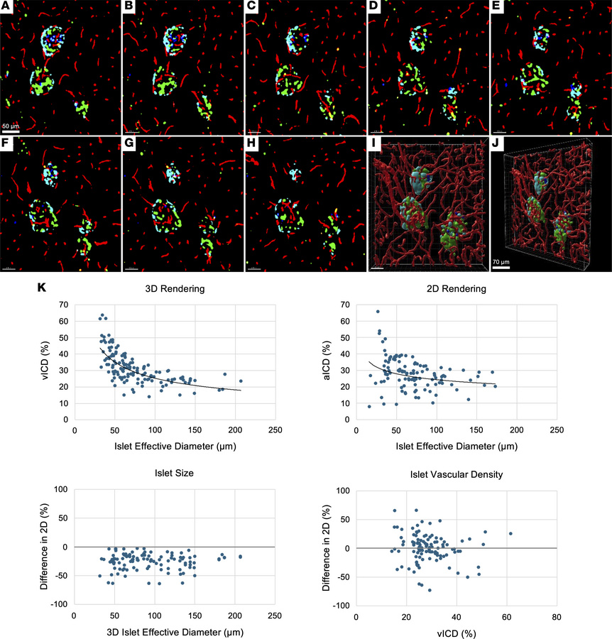 Approaches to visualizing and analyzing islet microvasculature.
(A–H) 2D...