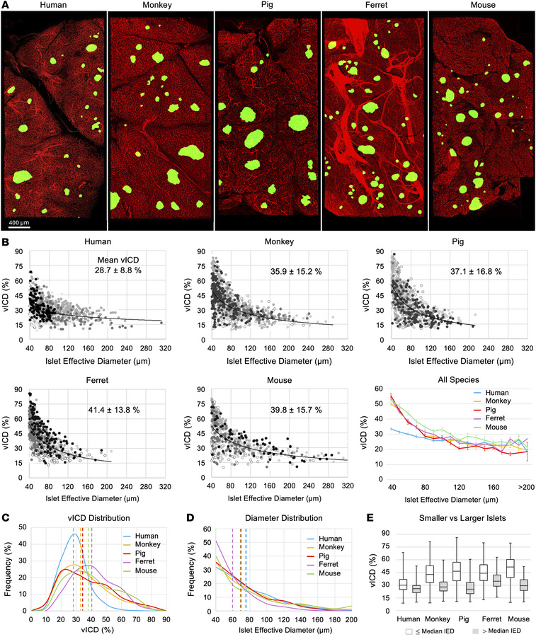 Characterization of vICD in various species.
(A) Representative fluoresc...