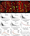 Characterization of vICD in various species.