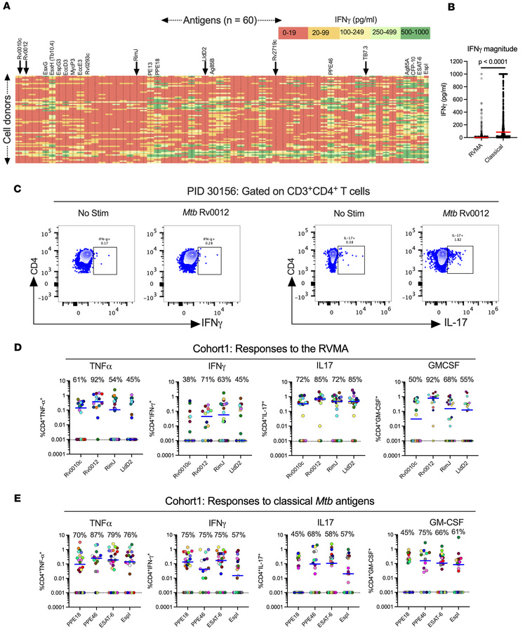 Distinct Mtb antigens elicit T cell responses with different functional ...