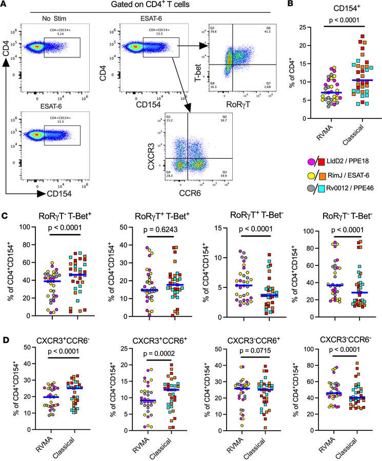 Antigen-activated cells express markers of Th17 and Th1 cells upon stimu...