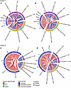 RVMA-responsive CD4 T cells exhibit fewer intermarker interactions.