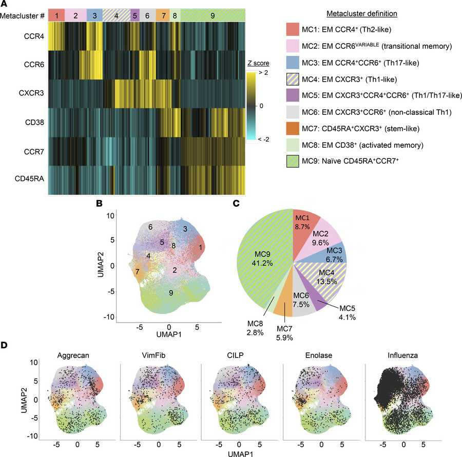Defining the CD4+ T cell landscape using DISCOV-R reveals cit-specific T...