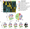 Defining the CD4+ T cell landscape using DISCOV-R reveals cit-specific T ce