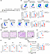 Deletion of α7 nAChR on Mks alleviates papain-induced allergic airway infla