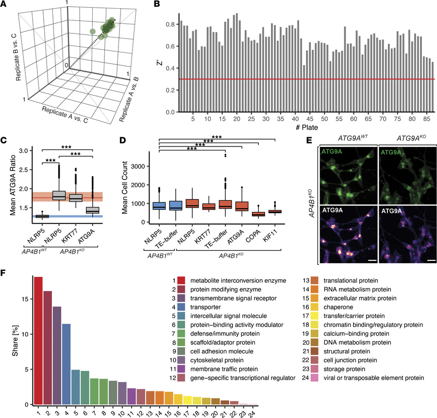 Quality metrics for high-throughput screen and sgRNA library.
(A) Pearso...