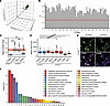 Quality metrics for high-throughput screen and sgRNA library.