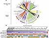 Selection of relevant genes for follow-up.