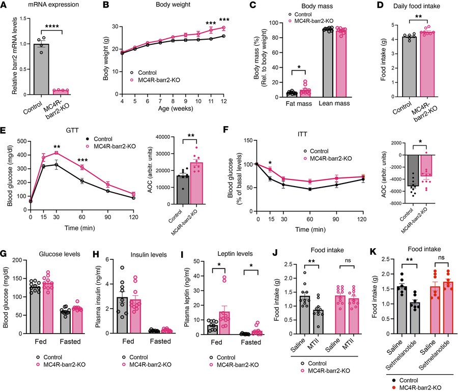 Metabolic analysis of MC4R-barr2-KO mice consuming regular chow.
All in ...