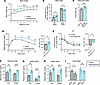 Metabolic studies with MC4R-barr2-KO mice consuming an obesogenic HFD.