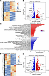 Transcriptional effects.