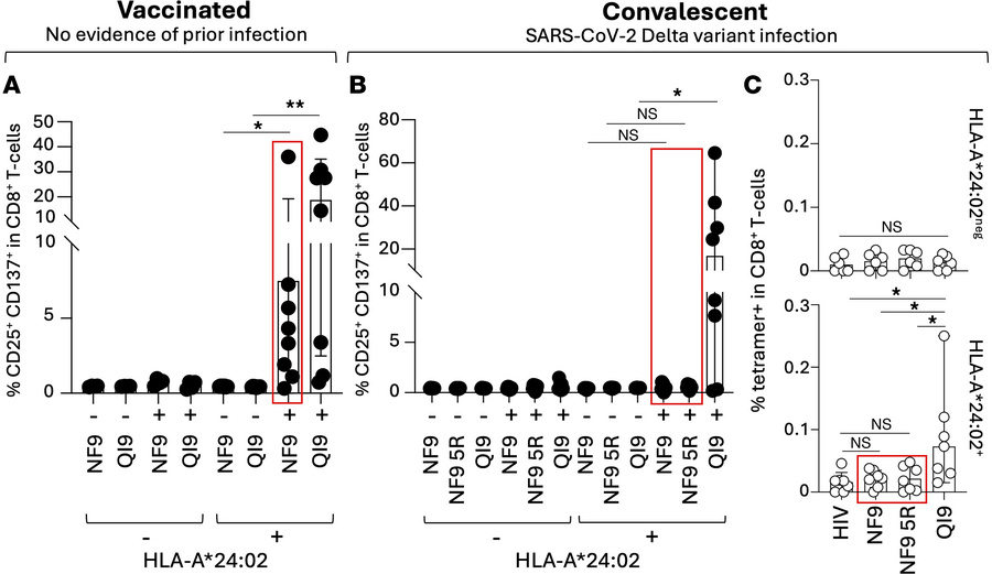NF9-5R–specific T cells are not detectable in SARS-CoV-2 Delta-infected ...