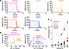 Binding affinity and cross-reactivity of P1-15:A24/NF9 interaction.