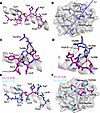 Structural analysis of the public P1-15 TCR/NF9-A24 complex.
