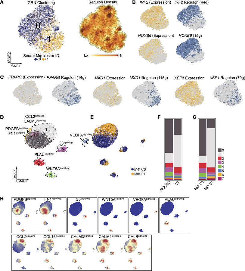 Gene regulatory and signaling networks for pericardial macrophages.
(A) ...
