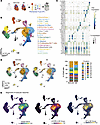 MI promotes phenotypic changes in specific subpopulations of pericardial ma