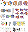 MI dictates maturation trajectories for pericardial macrophages.