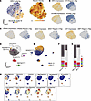 Gene regulatory and signaling networks for pericardial macrophages.