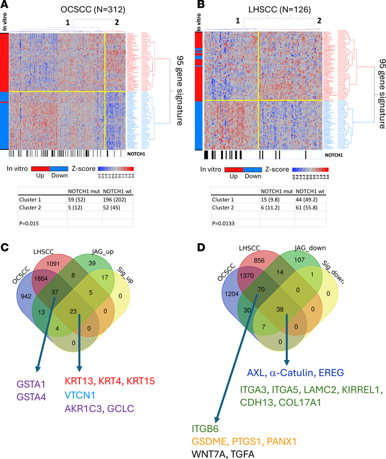 Comparison of genes regulated by NOTCH1 in vitro and genes differentiall...