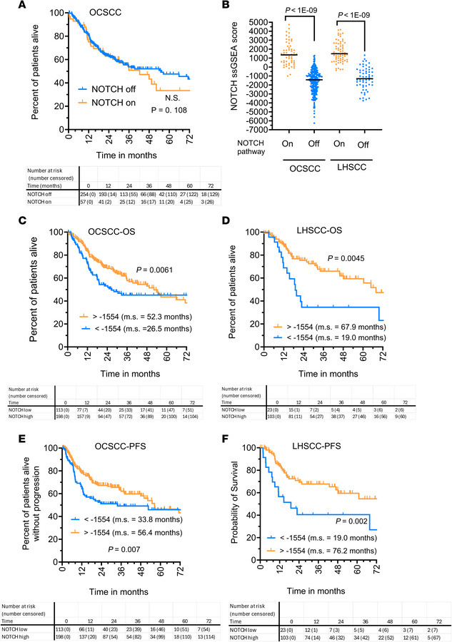 Higher levels of NOTCH1 activation correlate with better survival in OCS...