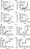 NOTCH1 activation reduces in vivo tumor growth and formation in NOTCH1-WT F