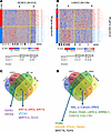 Comparison of genes regulated by NOTCH1 in vitro and genes differentially e