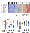 NOTCH1 activation in primary HNSCC is associated with changes to the tumor