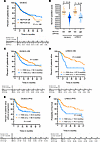 Higher levels of NOTCH1 activation correlate with better survival in OCSCC