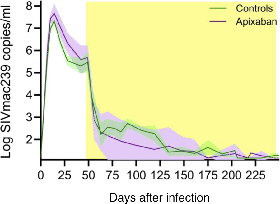 Apixaban administration does not affect virus replication in SIVmac-infe...