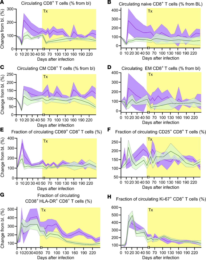 Apixaban administration does not alter the dynamics of circulating CD8+ ...