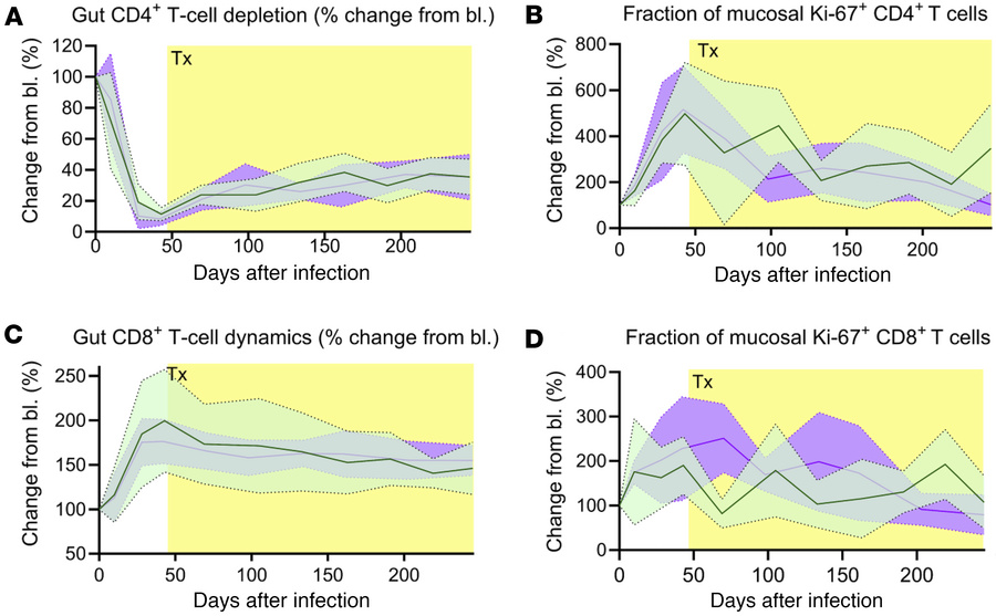 Apixaban administration does not alter the dynamics of mucosal T cells a...