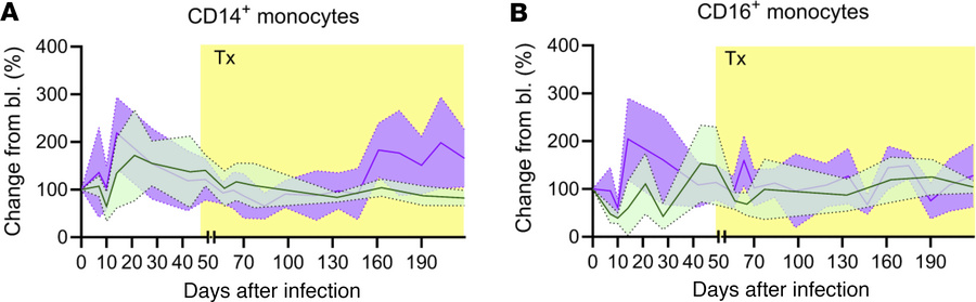 Apixaban administration does not alter the dynamics of monocyte populati...