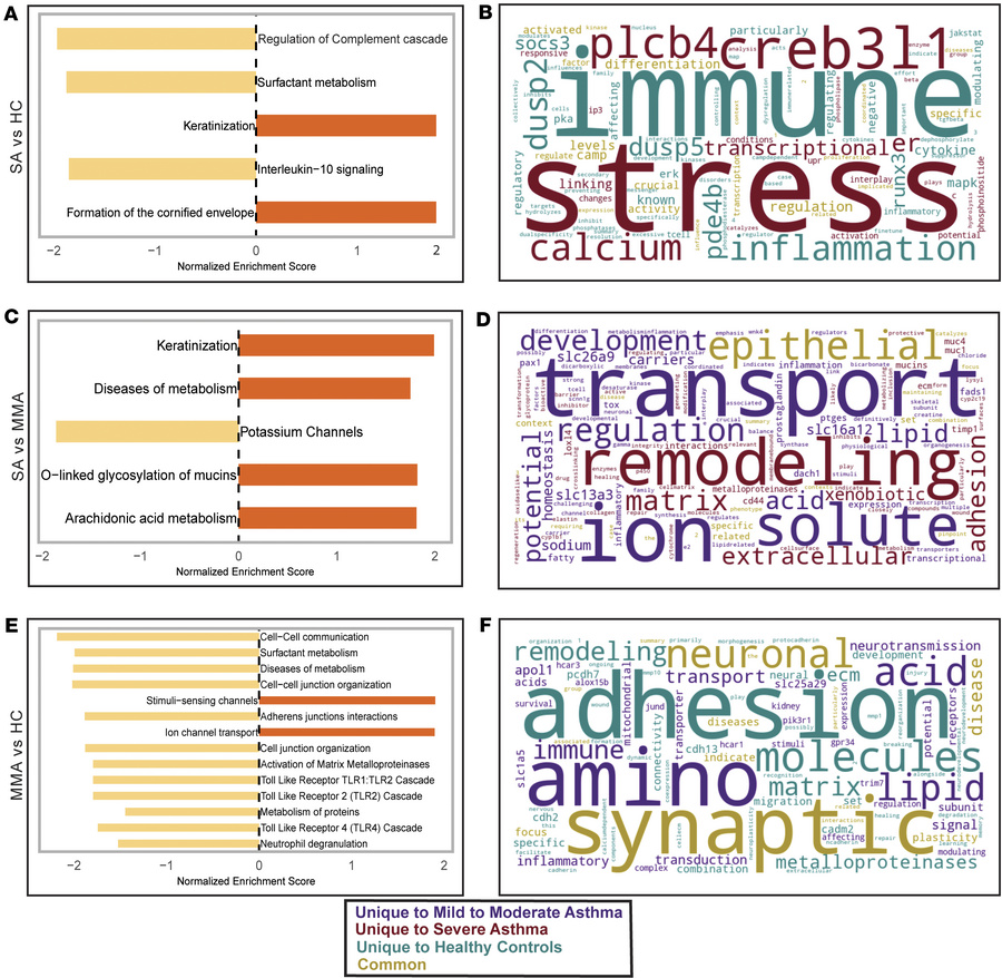 GSEA and GSAI analysis of SLIDE data.
(A, C, and E) GSEA plot with pathw...
