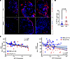 KRT16 protein expression in patients with asthma in the airways of IMSA and