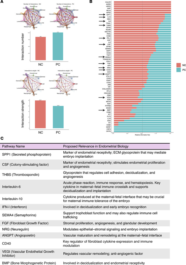Cell-cell interactome in human window of implantation endometrium in nat...